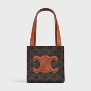 Celine Women Cube Bag Cuir Triomphe in Triomphe Canvas and Calfskin