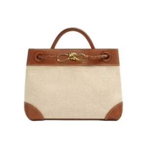 Bottega Veneta Women Small Andiamo in Calf Leather and Canvas