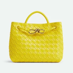 Bottega Veneta Women Small Andiamo Intrecciato Leather Top Handle Bag-Yellow