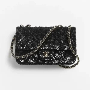 Chanel Women Evening Bag Quilted Sequins & Gold-Tone Metal-Black