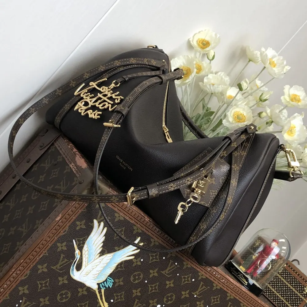 Louis Vuitton LV Women Express MM Calfskin Leather-Black M26397