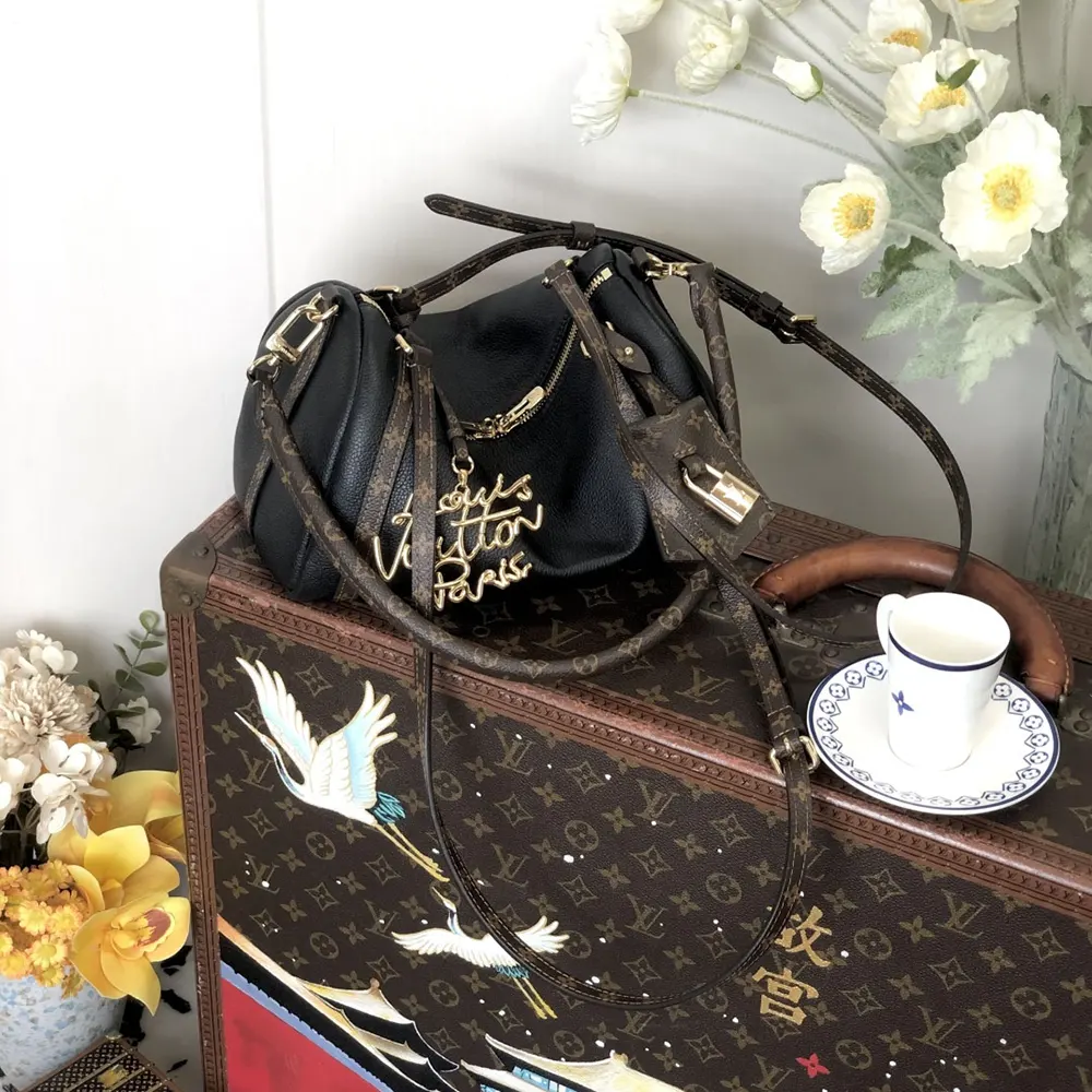 Louis Vuitton LV Women Express PM Calfskin Leather-Black M26039